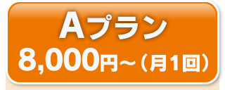 Ａプラン　８，０００円～（月１回）