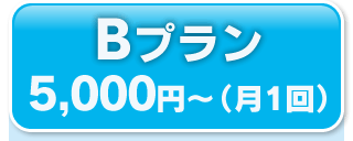 Ｂプラン　５，０００円～（月１回）